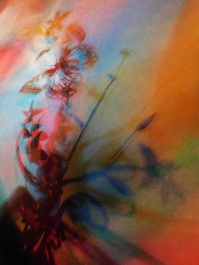 I COLORI DELLA BIODIVERSITÀ