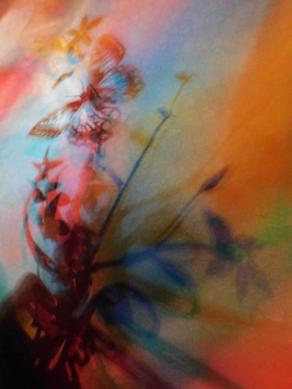 I COLORI DELLA BIODIVERSITÀ