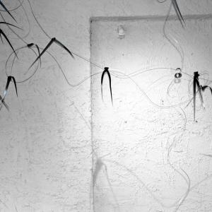 TRAPPOLA PER RONDINI