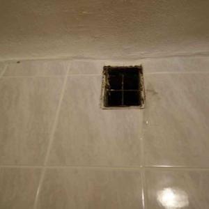 stolze sekte aus dem mittelalter - 