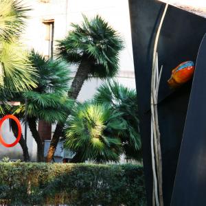 Fogliano Arte "Earth Water Air Fire" Fogliano Arte "Earth Water Air Fire"