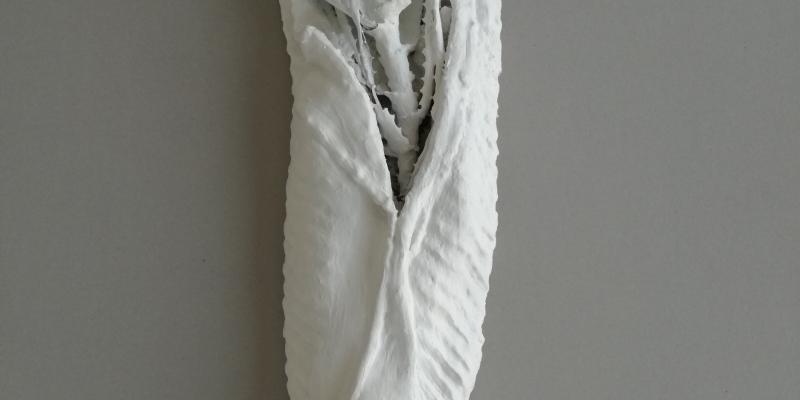 Evidenti Omissioni Evidenti Omissioni