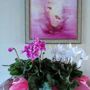 NUOVO EVENTO SABATO 22 ALLE ORE 18.00 ALLA PERSONALE DI BARBARA GHISI A MODENA 