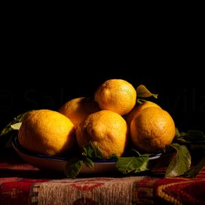 Divertissement, Salvo D’Avila's still life photography