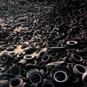 Italy. Venice, Biennial of Architecture