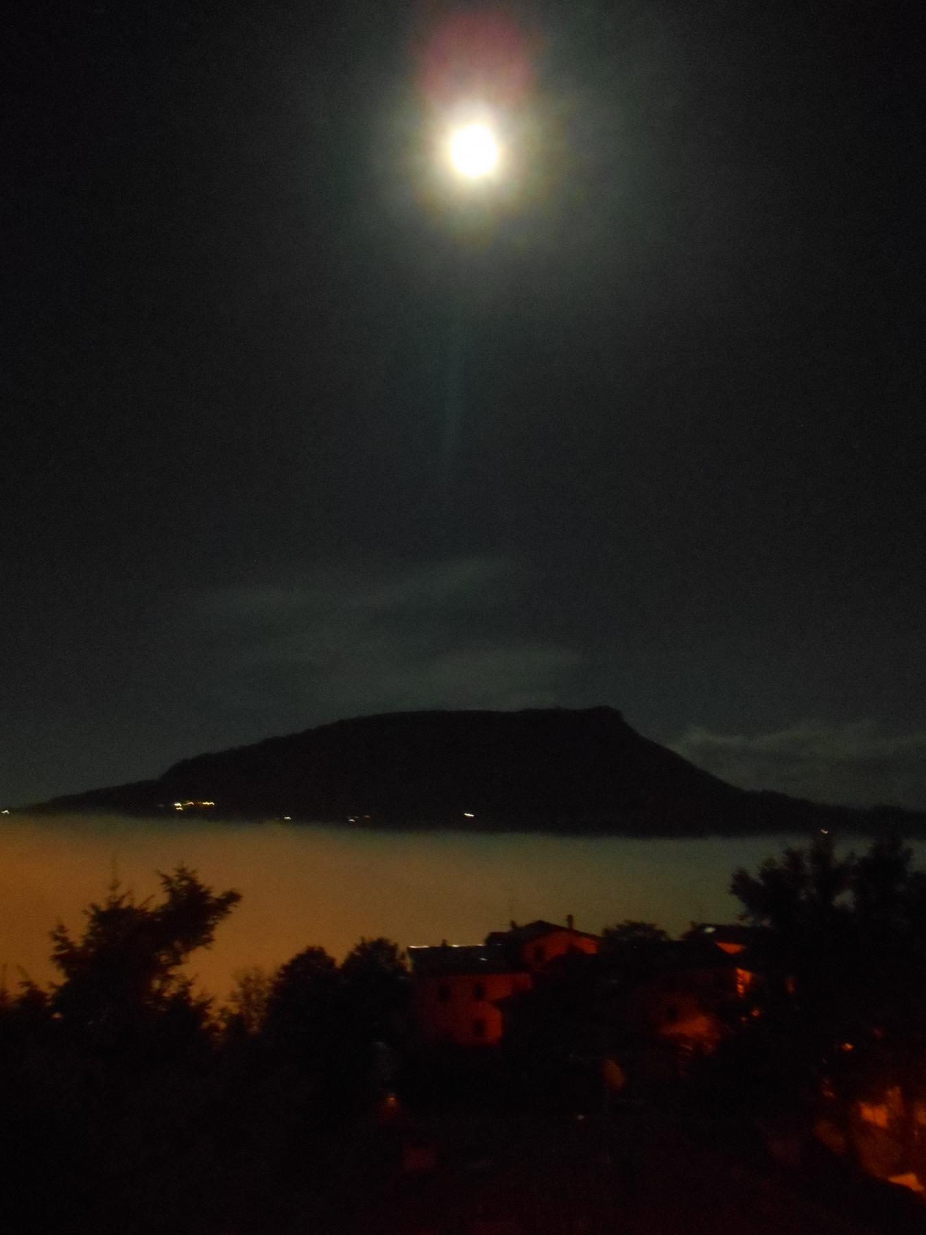 GenovaCONTEMPORANEA GenovaCONTEMPORANEA