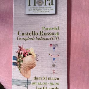 Flora-about the nature Flora-about the nature