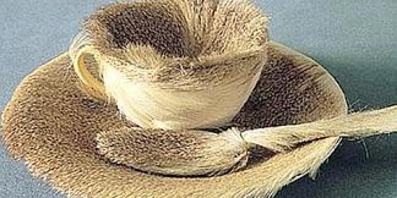 Colazione newyorkese in pelliccia