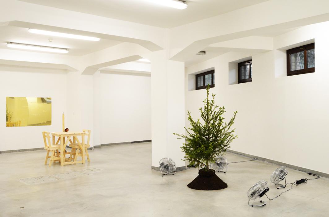  Il potere del sapere ovvero sulle Lucciole di Elena Bellantoni // mostra personale 