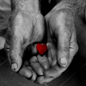 The guardian ok my heart