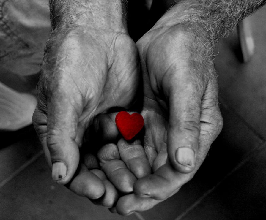 The guardian ok my heart The guardian ok my heart