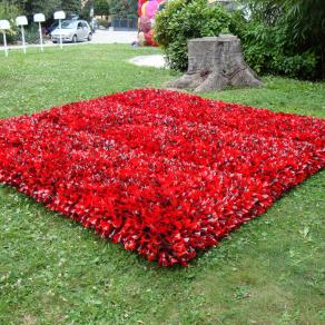 Nella deriva del rosso (Light Zapping n°9)