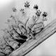 Portrait of Caterpillar BW