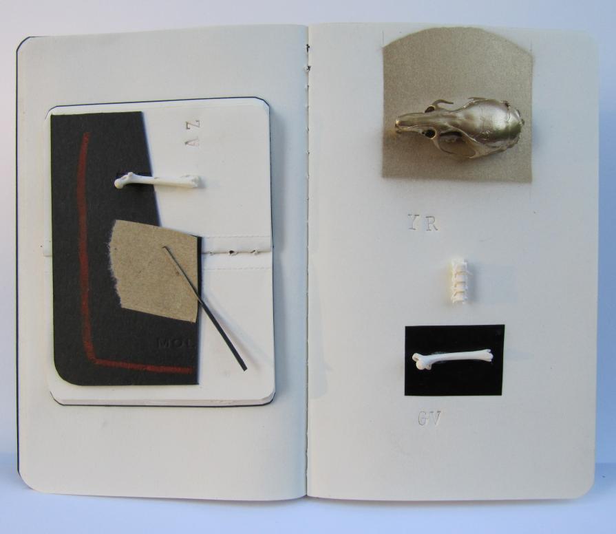 viaggio di un santo taumaturgo