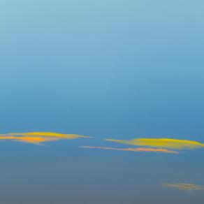 Un innocuo idealista