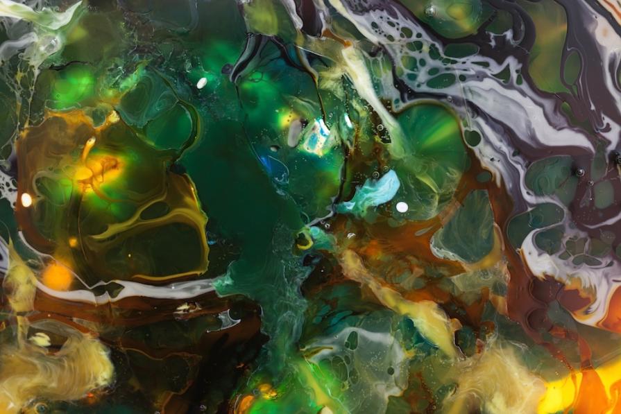 The Petri Dish Project - Zen Jungle (2)