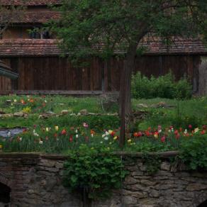 to Nanouk Flowers in the darkness