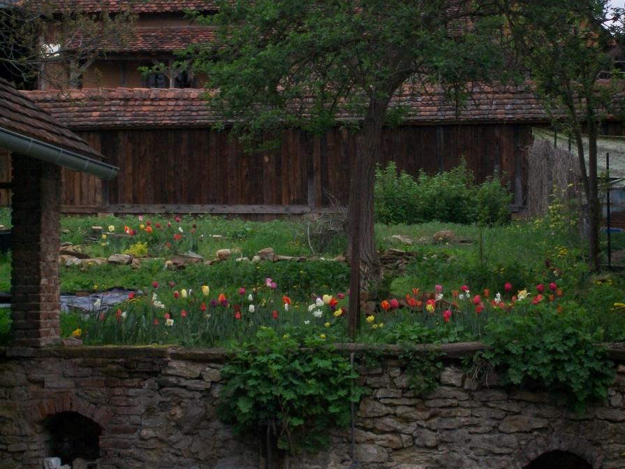 to Nanouk Flowers in the darkness