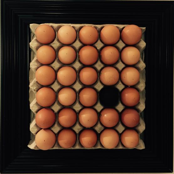 UOVO DI UCCELLO MIGRANTE