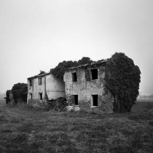 45.251280, 11.832193 Reoso, Padova 45.251280, 11.832193 Reoso, Padova