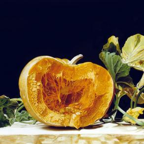 Zucca