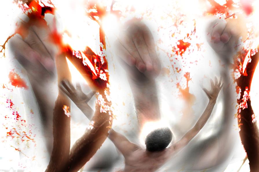 di nuovo un attaccoto da animali preistorici.