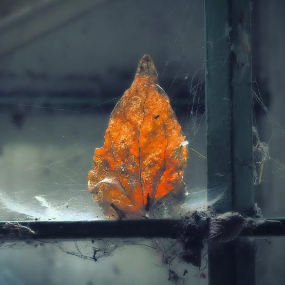 And the rest is only love 