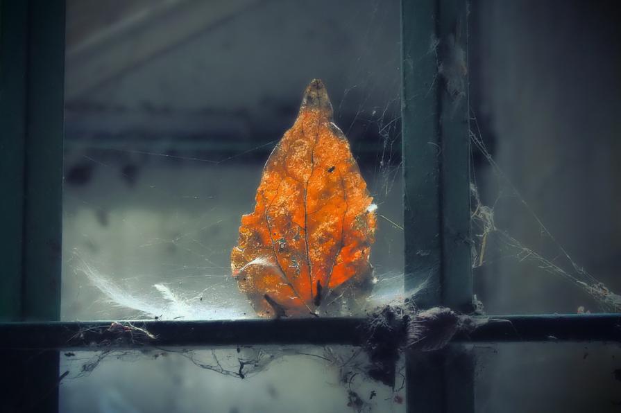 And the rest is only love 