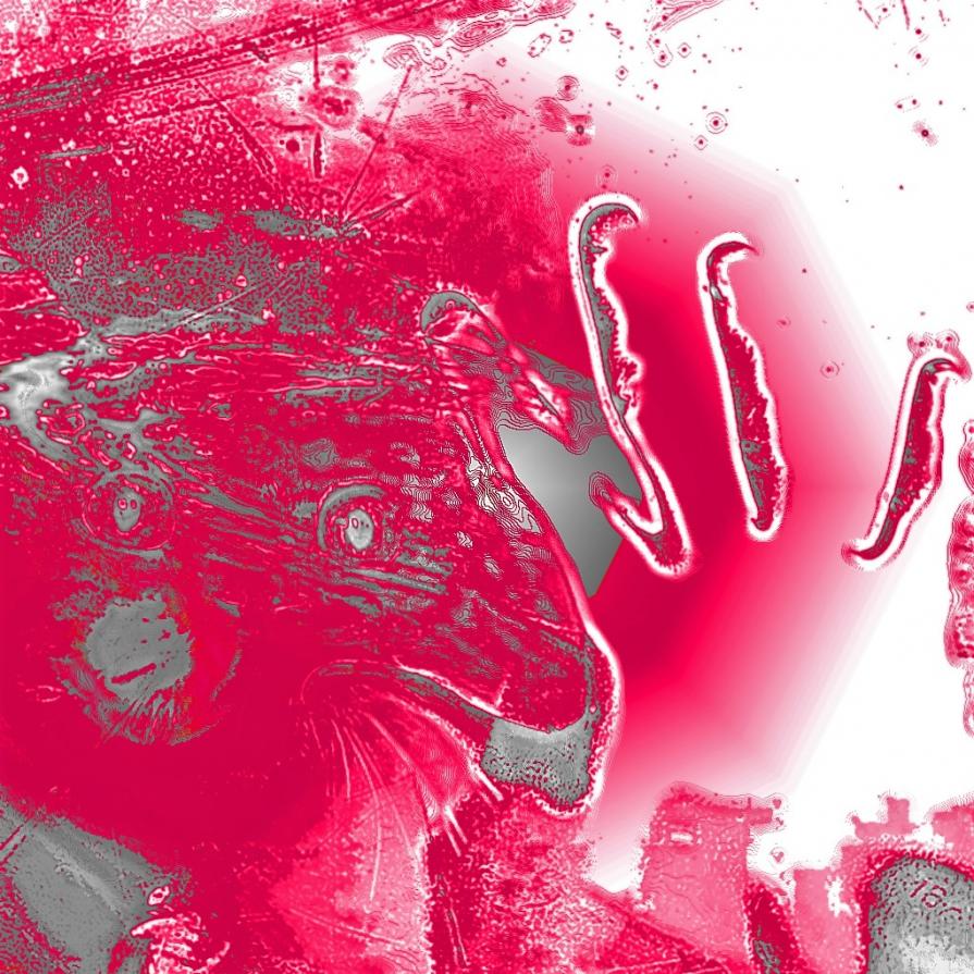 Io non voglio rinunciare !!!