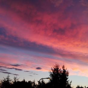 Miracoli della natura