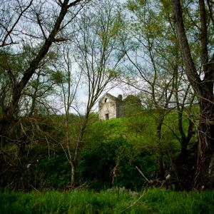 Down by The River Down by The River