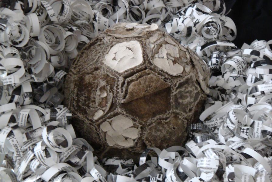 IL CAVOLO PERMANENTE DI WILSON