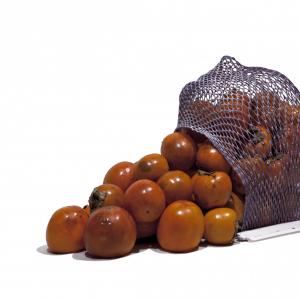 I love persimmons - my favorite fruit. I love persimmons - my favorite fruit.