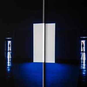 L'ATTESA (particolari)