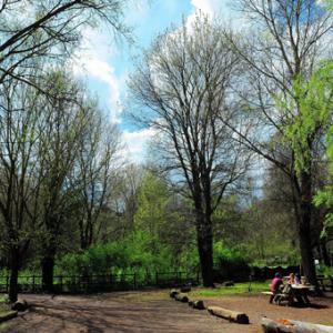 5 Elementi 5 Legno - Fuoco -Terra - Metallo - Acqua / Armonie e contrasti della natura attraverso l’Arte e il Feng shui 5 Elementi 5 Legno - Fuoco -Terra - Metallo - Acqua / Armonie e contrasti della natura attraverso l’Arte e il Feng shui