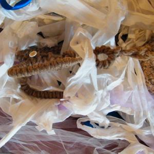 Three staff “Afoismi” “A craft of skilled “ “ In..Coscienza”