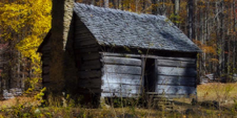 Call for Artists – 3rd Annual “Seasons” Online Art Competition 