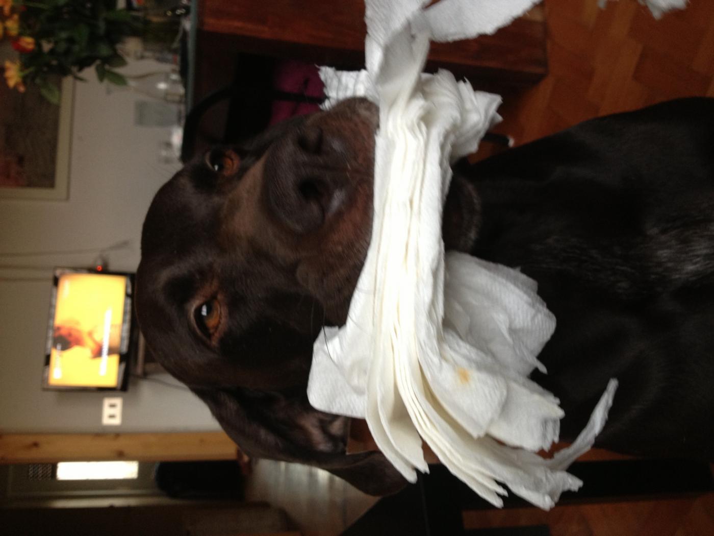 The work Will be The sponsor The work Will be The sponsor