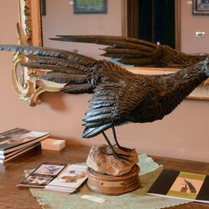 LE FOTO DI ALTRA NATURA IN VILLA fino al 25 ottobre CLUB LA MERIDIANA (MO)