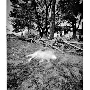 PUNTI DI VISTA PUNTI DI VISTA