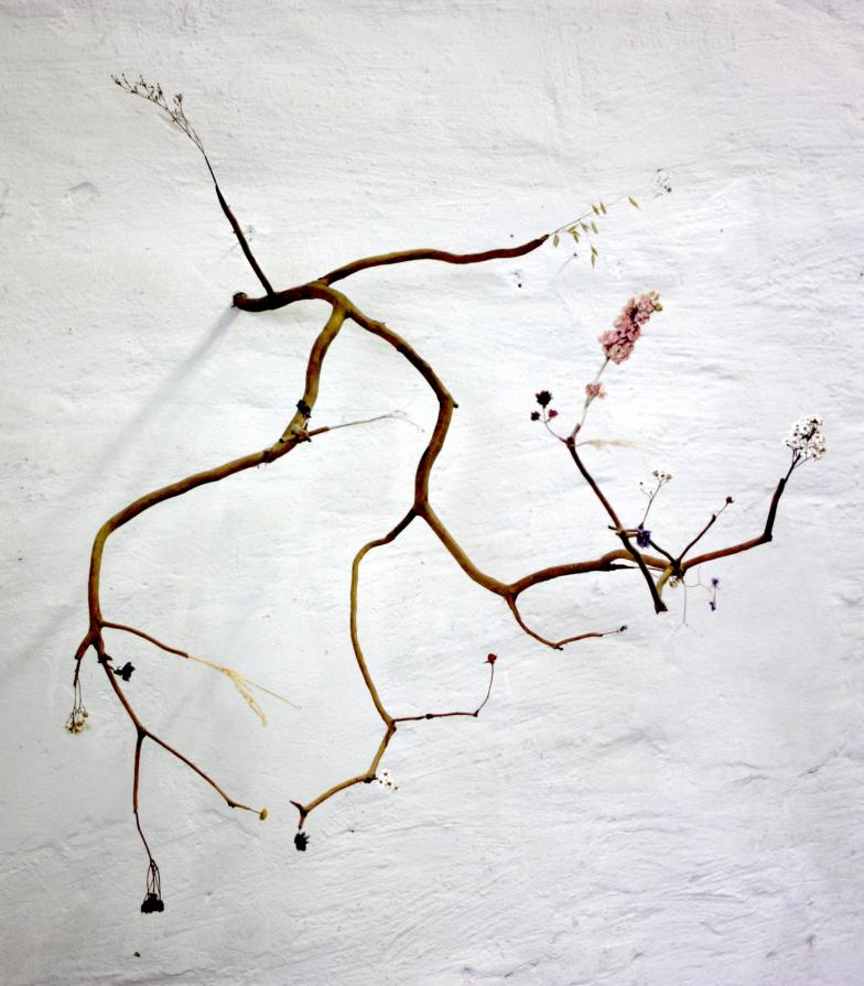 losing beauty _ graft #01 losing beauty _ graft #01