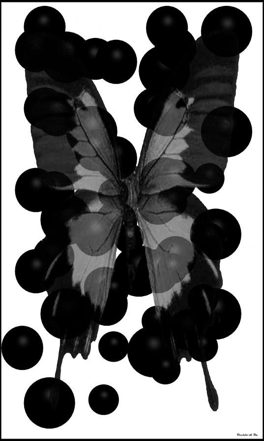 Evoluzione Interiore - AlternativeVision