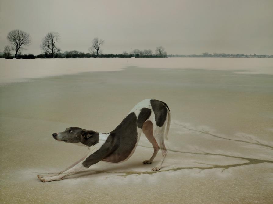 port meadow port meadow