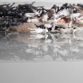 La Primavera di Quirra -  Muro a secco