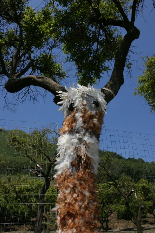 Alberouccello Alberouccello