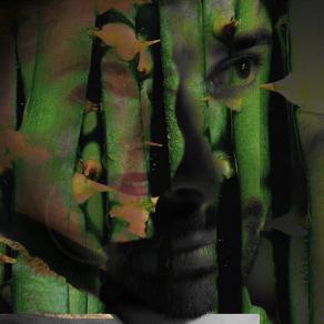 contra viento y espinas