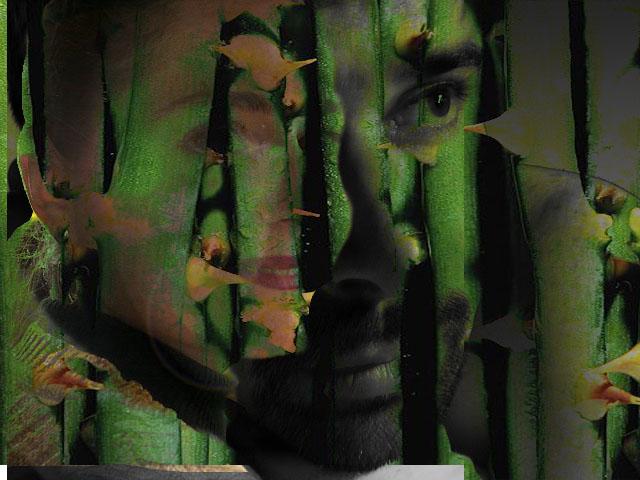 contra viento y espinas