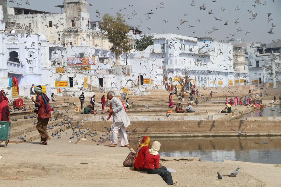 Purification Purification