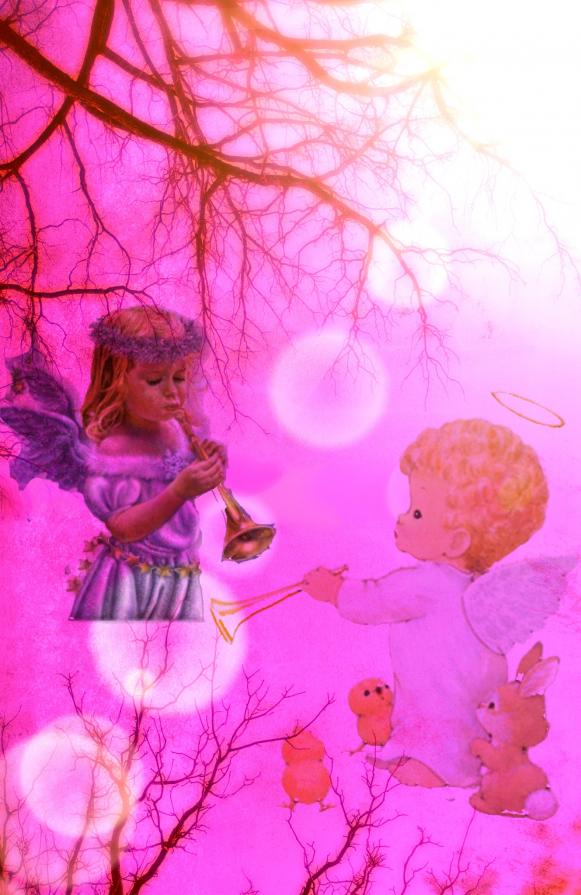 ...ALI...!!! ***  SEI DOLCE COLLEGA...!!!  ***