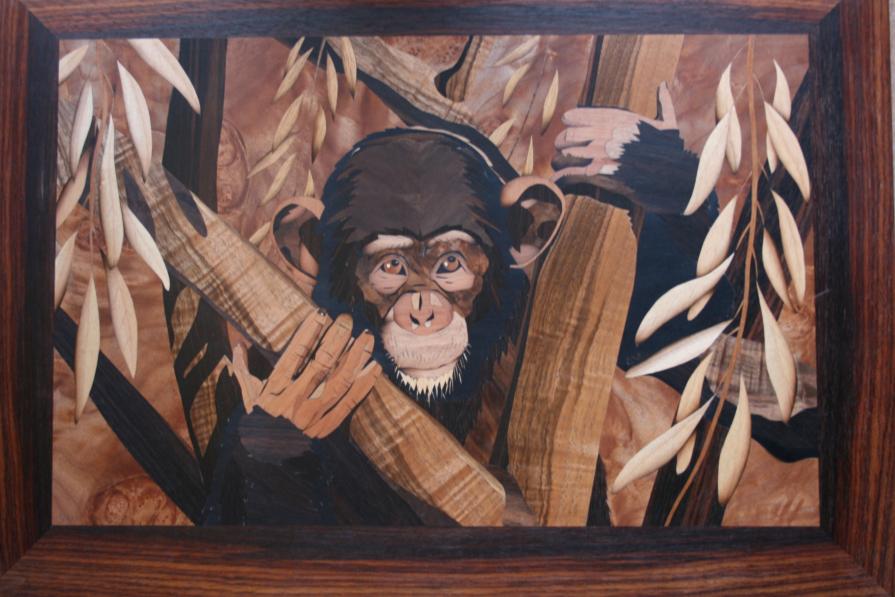 GUARDAMI NEGLI OCCHI